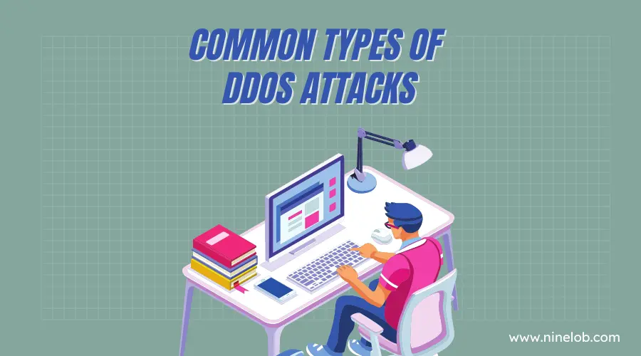 Common Types of DDoS Attacks